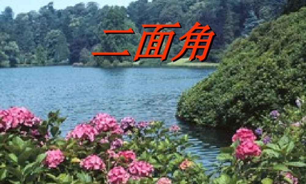 二面角教学课件 高二立体几何直线和平面所成的角与二面角大全 高二立体几何直线和平面所成的角与二面角大全