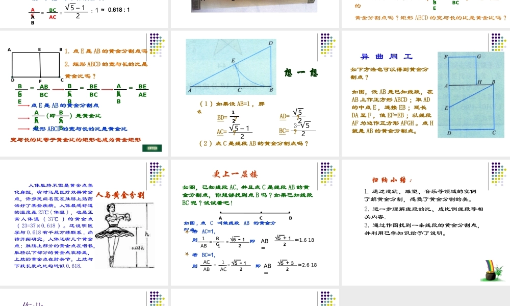 八年级数学 黄金分割课件