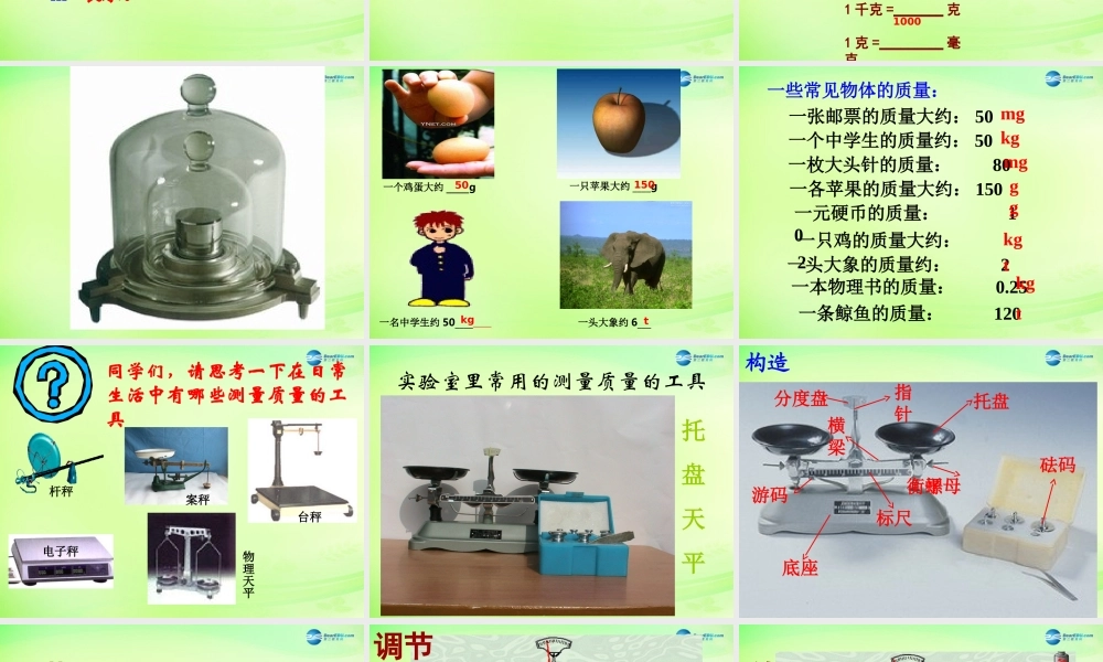 八年级物理下册 6.1 物体的质量课件 (新版)苏科版 课件