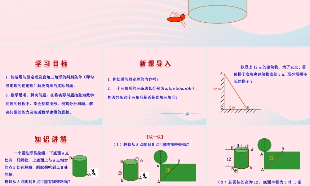 七年级数学上册 第三章 勾股定理 3勾股定理的应用举例课件 鲁教版五四制 课件