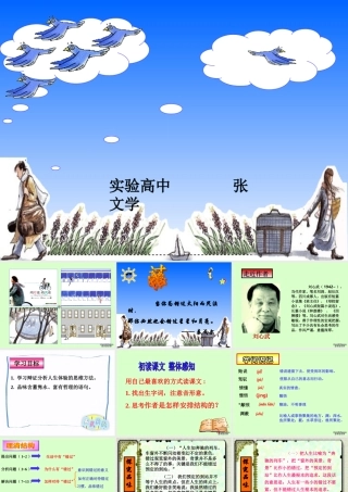 八年级语文错过课件 苏教版 课件