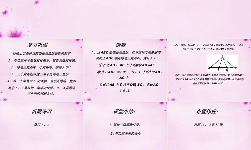八年级数学上册 第24课时 等边三角形课件2 (新版)新人教版 课件