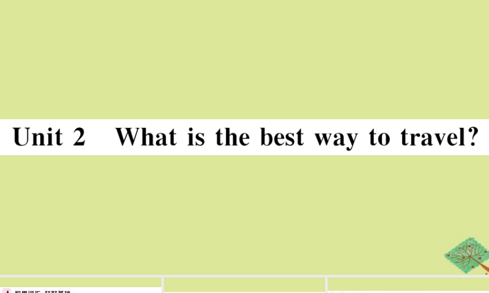 八年级英语上册 Module 4 Planes，ships and trains Unit 2 What is the best way to travel作业课件 (新版)外研版 课件