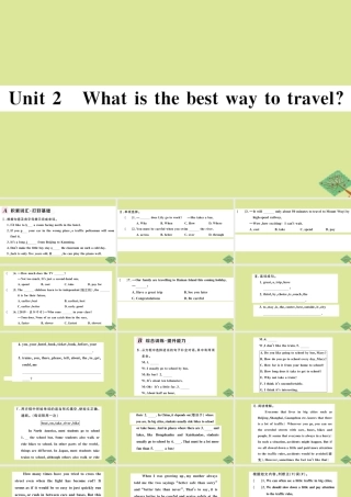八年级英语上册 Module 4 Planes，ships and trains Unit 2 What is the best way to travel作业课件 (新版)外研版 课件