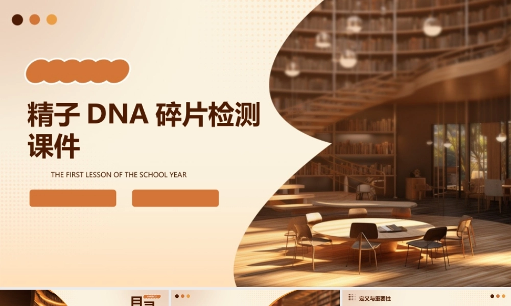 精子DNA碎片检测课件