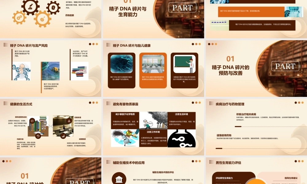 精子DNA碎片检测课件