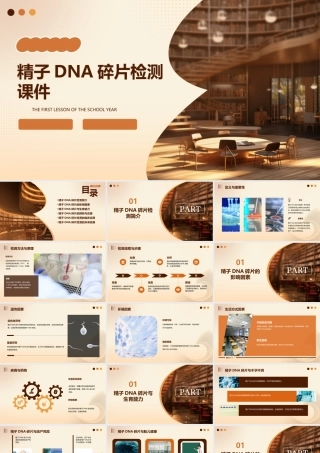 精子DNA碎片检测课件