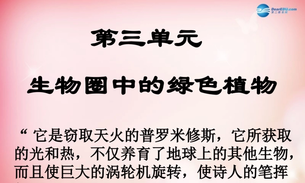 中学人教版七年级生物上册 第三单元 第一章 第一节 藻类、苔藓和蕨类植物课件 新人教版 课件