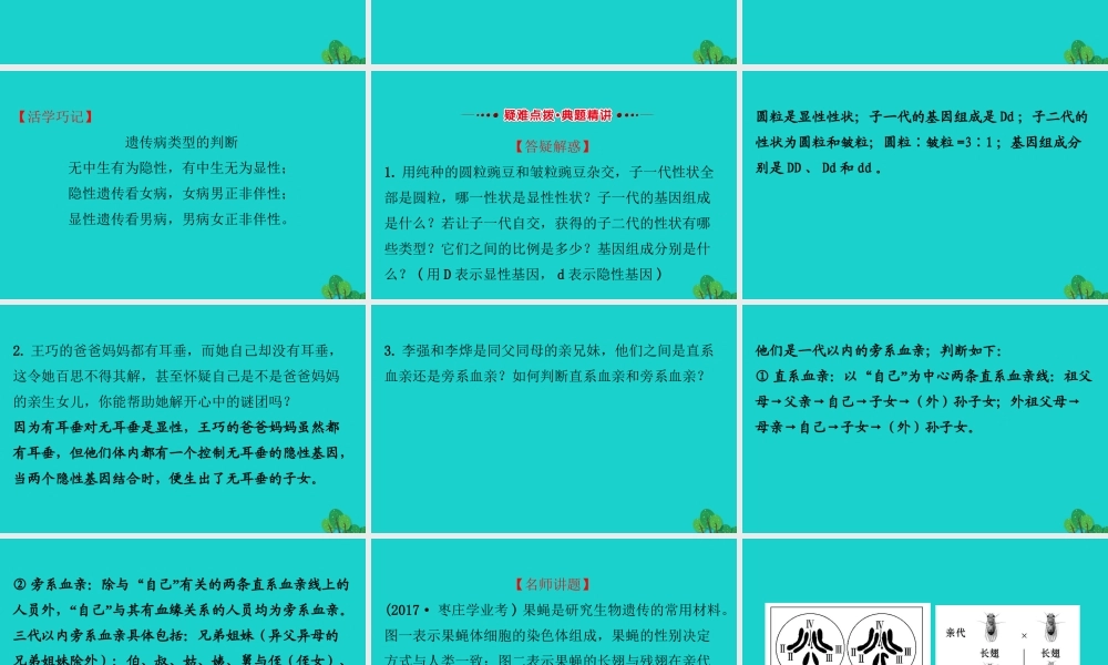 八年级生物下册 7.2.3基因的显性和隐性习题课件(新版)新人教版 课件