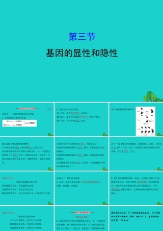 八年级生物下册 7.2.3基因的显性和隐性习题课件(新版)新人教版 课件