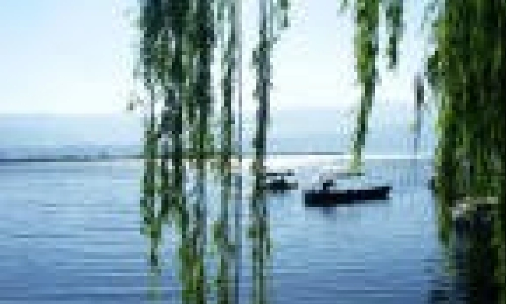 七年级语文上册《济南的冬天》课件