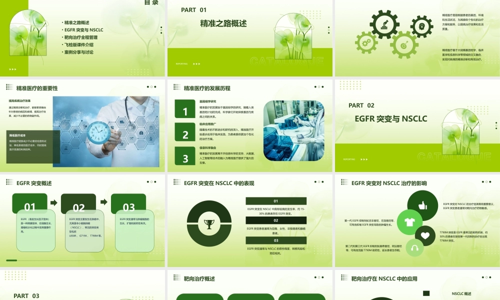 精准之路EGFR突变NSCLC患者靶向治疗全程管理飞检版课件
