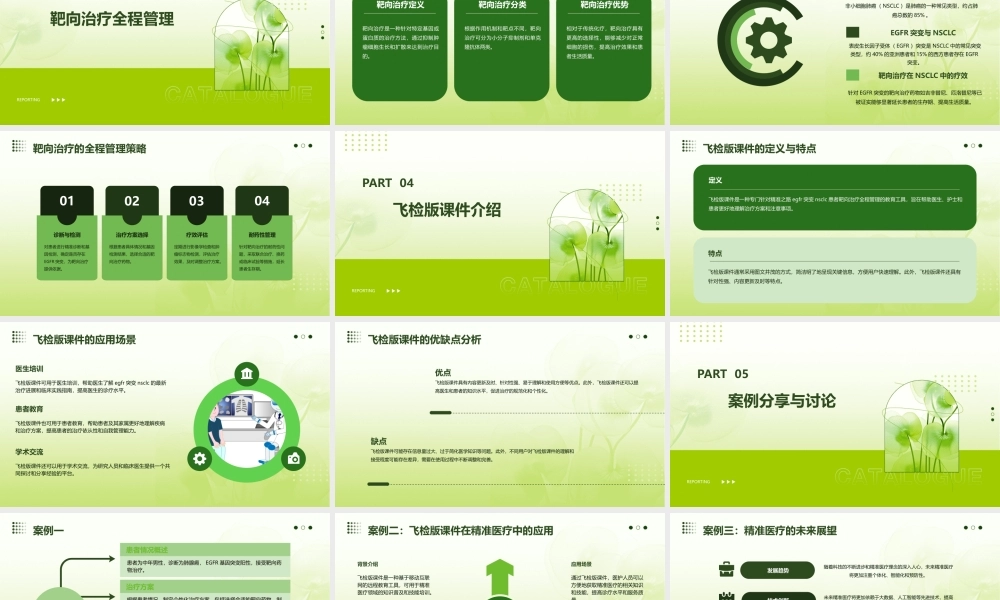 精准之路EGFR突变NSCLC患者靶向治疗全程管理飞检版课件