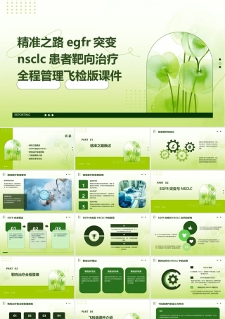 精准之路EGFR突变NSCLC患者靶向治疗全程管理飞检版课件