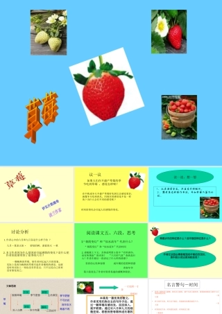 九年级语文草莓2 课件语文版 课件