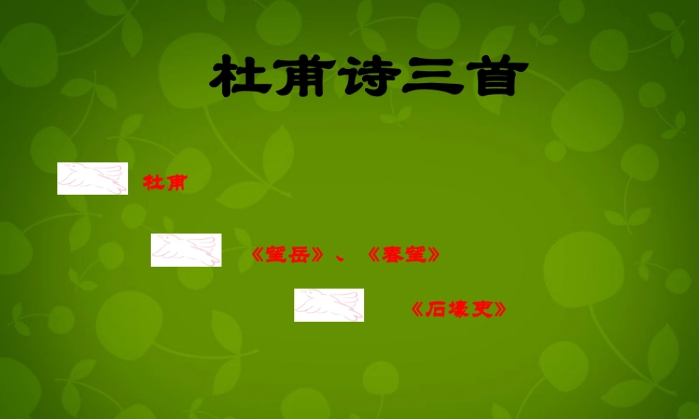 八年级语文上册 第五单元 25 杜甫诗三首课件 新人教版 课件
