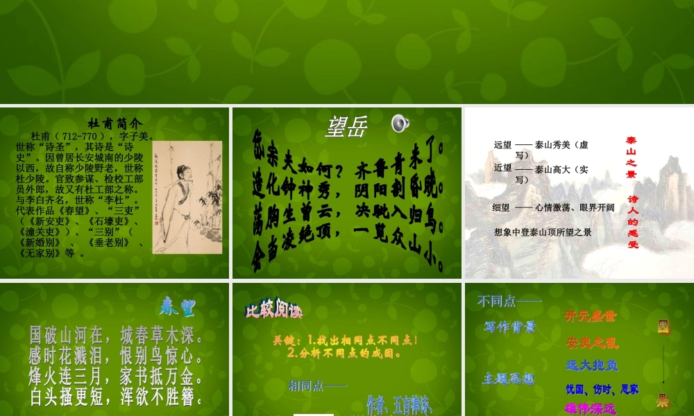 八年级语文上册 第五单元 25 杜甫诗三首课件 新人教版 课件