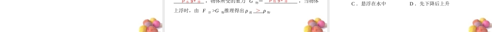 九年级物理 第十四章 六、浮力的应用课件 人教新课标版 课件