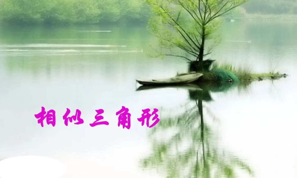 八年级数学相似三角形课件1鲁教版 课件