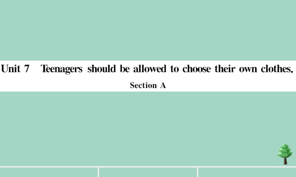九年级英语全册 Unit 7 Teenagers should be allowed to choose their own clothes Section A(小册子)作业课件 (新版)人教新目标版 课件