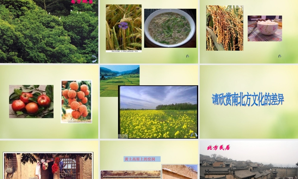 八年级地理下册(5.2 北方地区和南方地区)课件1 (新版)湘教版 课件