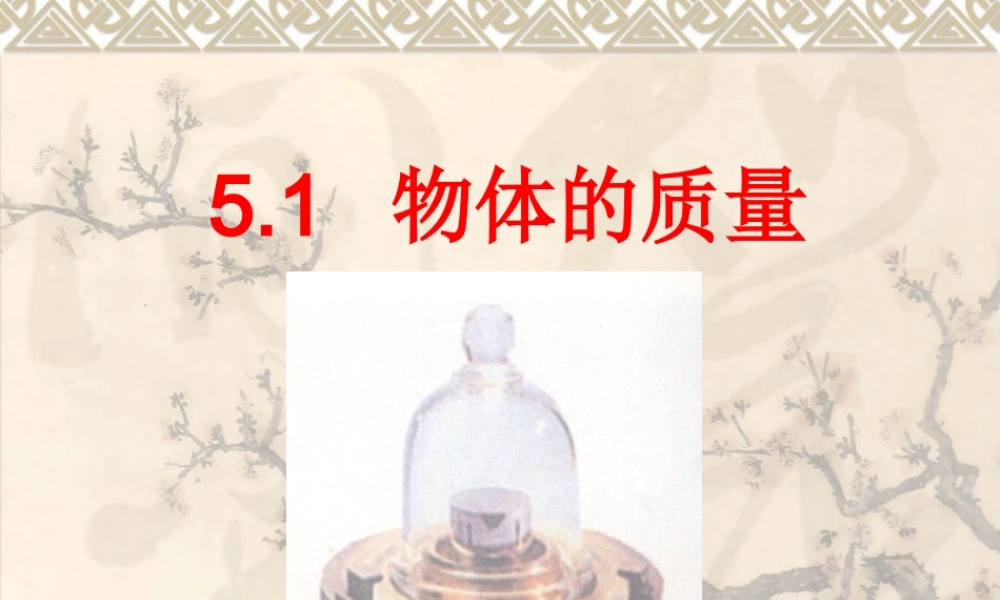 物体的质量课件