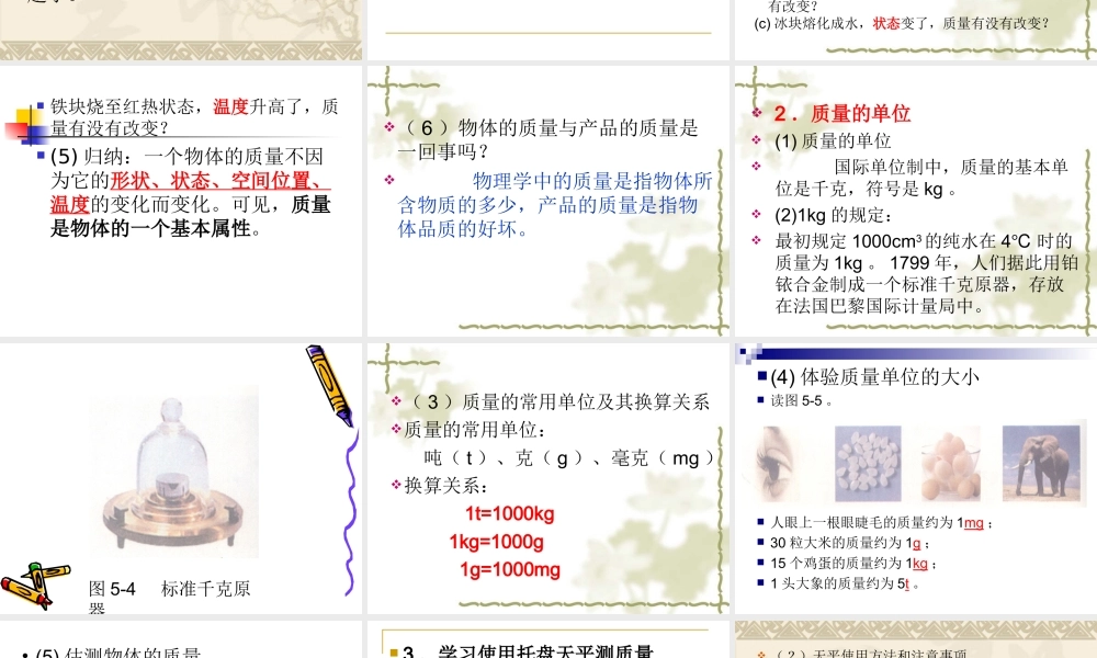 物体的质量课件