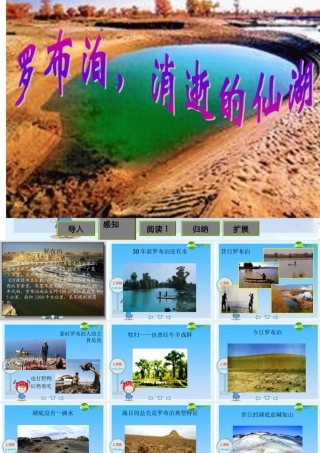 八年级语文下册 (罗布泊，消逝的仙湖)教学课件 人教新课标版 课件