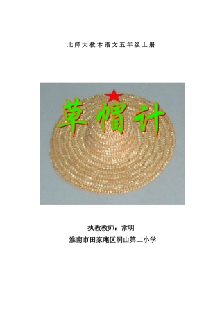 草帽计设计整合
