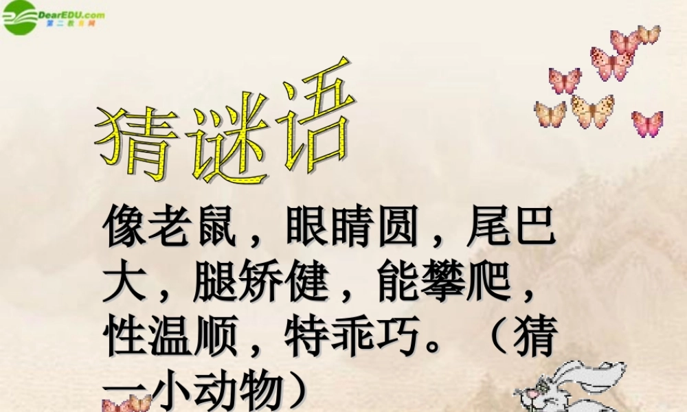 七年级语文下册 第四单元第15课 (松鼠)课件 苏教版 课件