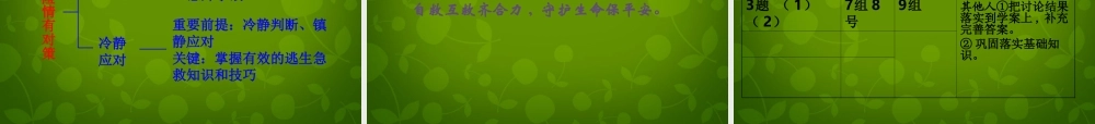 中学七年级政治上册(9.1 遭遇险情有对策)课件 新人教版 课件