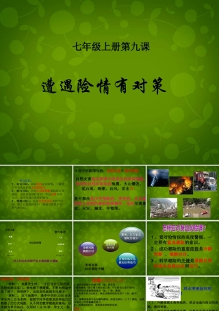 中学七年级政治上册(9.1 遭遇险情有对策)课件 新人教版 课件