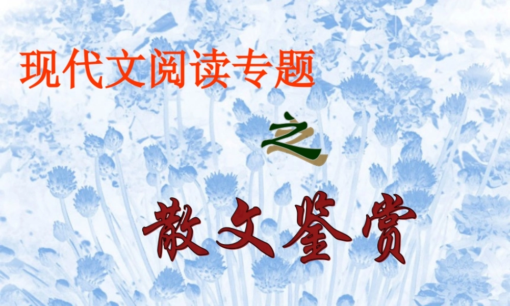 八年级语文 现代文阅读专题之散文鉴赏课件 人教版 课件