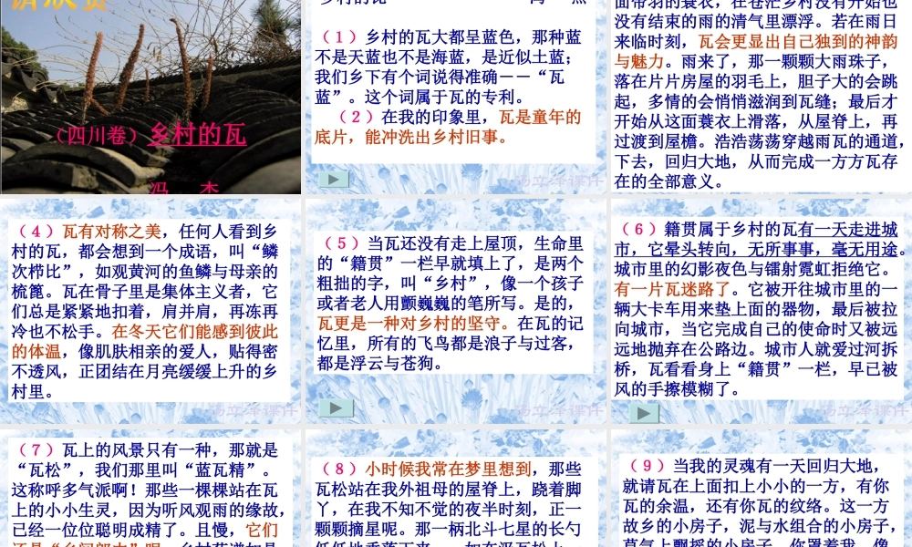 八年级语文 现代文阅读专题之散文鉴赏课件 人教版 课件