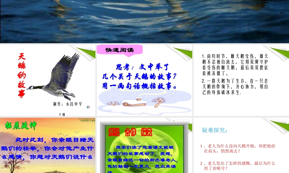 七年级语文上册(天鹅的故事)教学课件 北师大版 课件