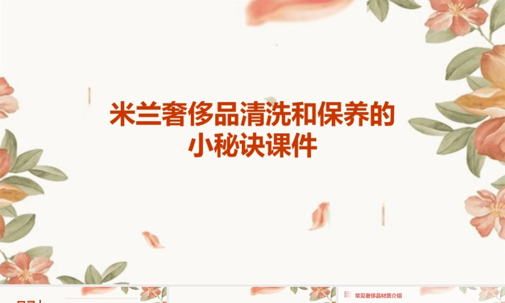 米兰奢侈品奢侈品的清洗和保养的小秘诀课件