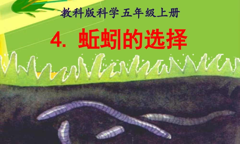 蚯蚓的选择课件