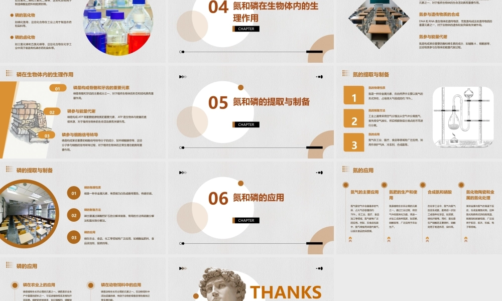 竞赛初赛辅导(氮和磷)课件