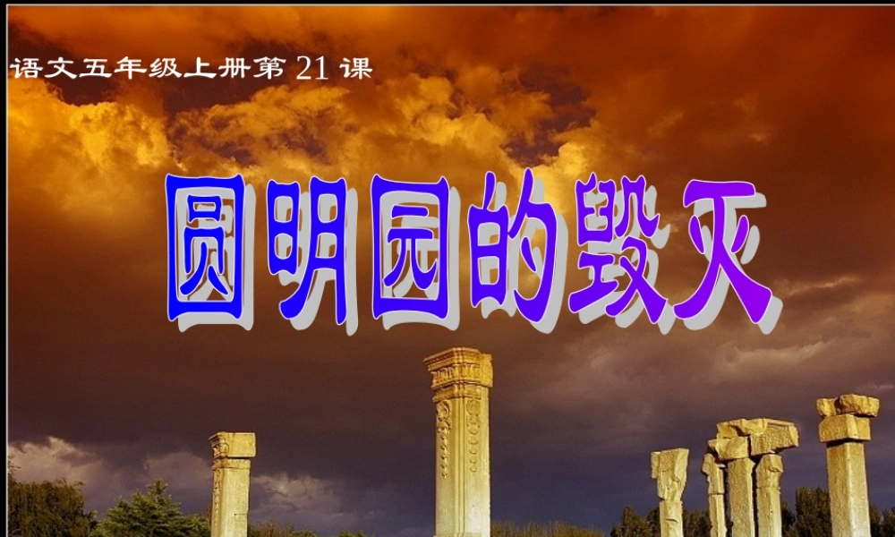 圆明园的毁灭 (6)