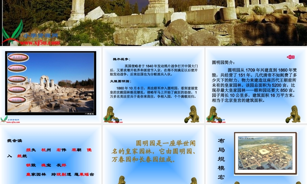 圆明园的毁灭 (6)