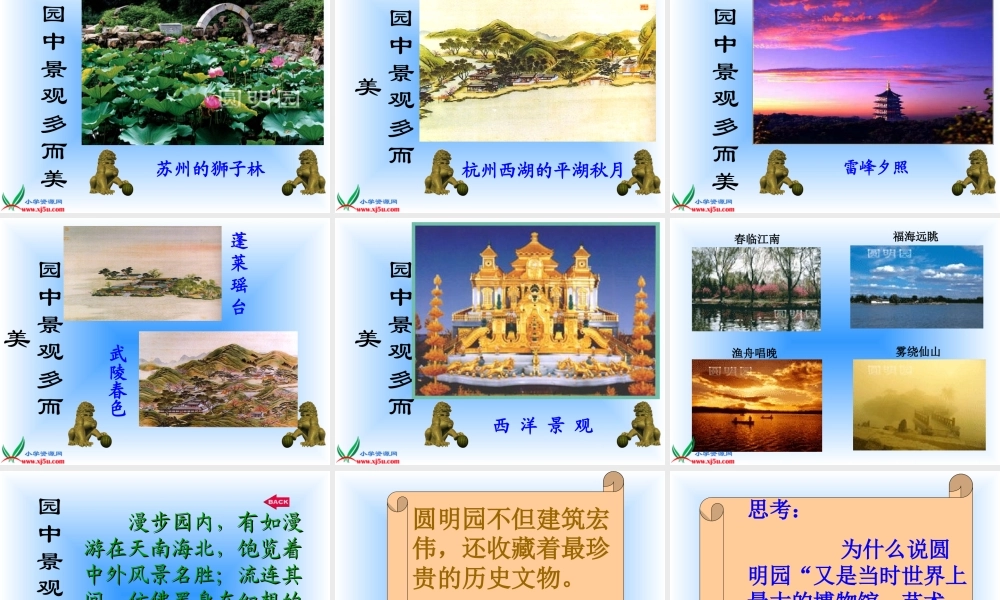 圆明园的毁灭 (6)