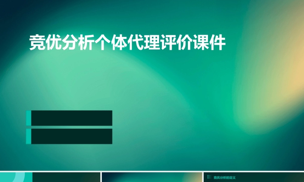 竞优分析个体代理评价课件