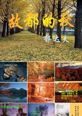 《故都的秋》课件1
