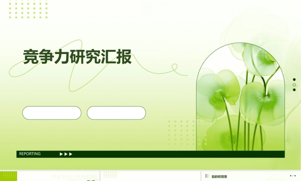 竞争力研究汇报竞争力研究