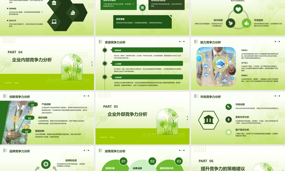 竞争力研究汇报竞争力研究