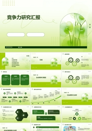 竞争力研究汇报竞争力研究