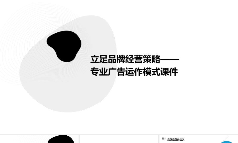 立足品牌经营策略——专业广告运作模式课件