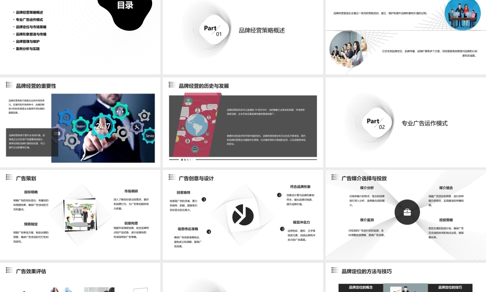 立足品牌经营策略——专业广告运作模式课件