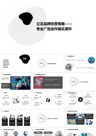立足品牌经营策略——专业广告运作模式课件