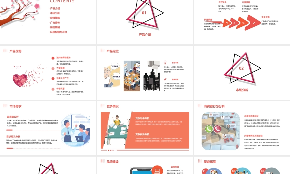 立显镇痛贴市场策略方案课件